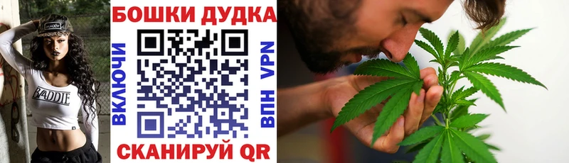 Бошки Шишки Кимры