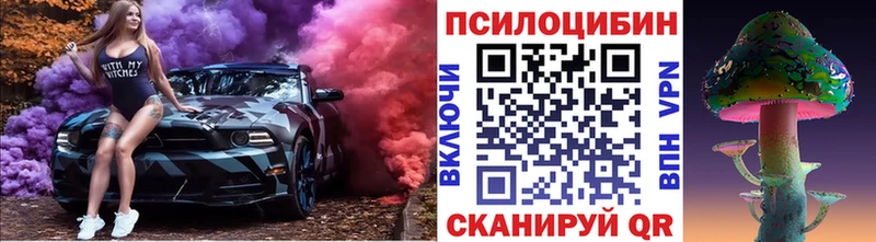 Купить закладки  Кимры  Галлюциногенные грибы Cubensis 